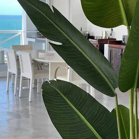 Surfstar At Mimosa Jeffreys Bay Apartment Exterior photo