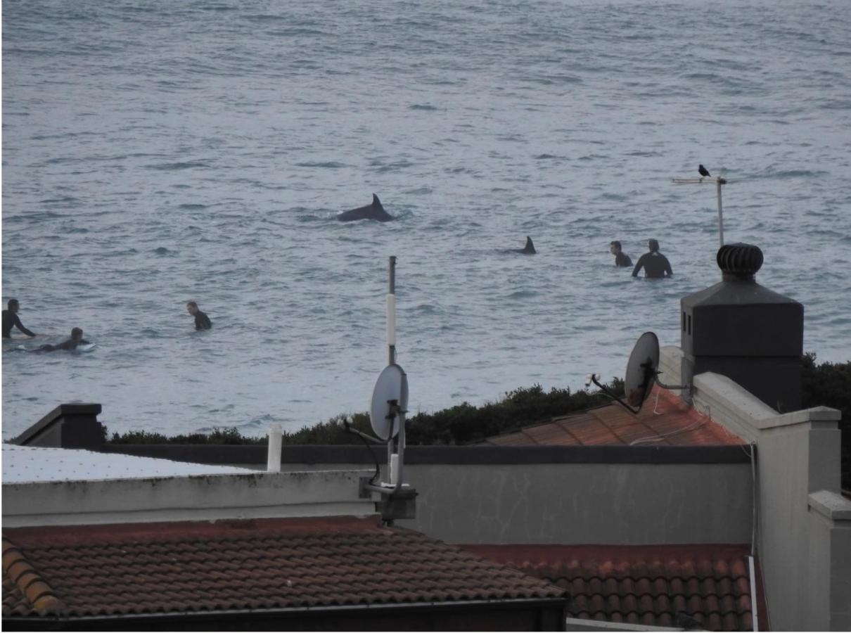 Apartment Surfstar At Mimosa *