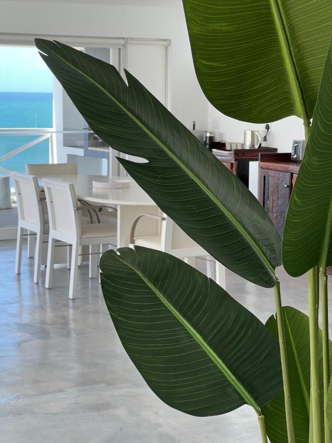 Apartment Surfstar At Mimosa *